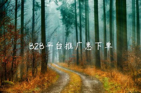 B2B平臺推廣惠下單